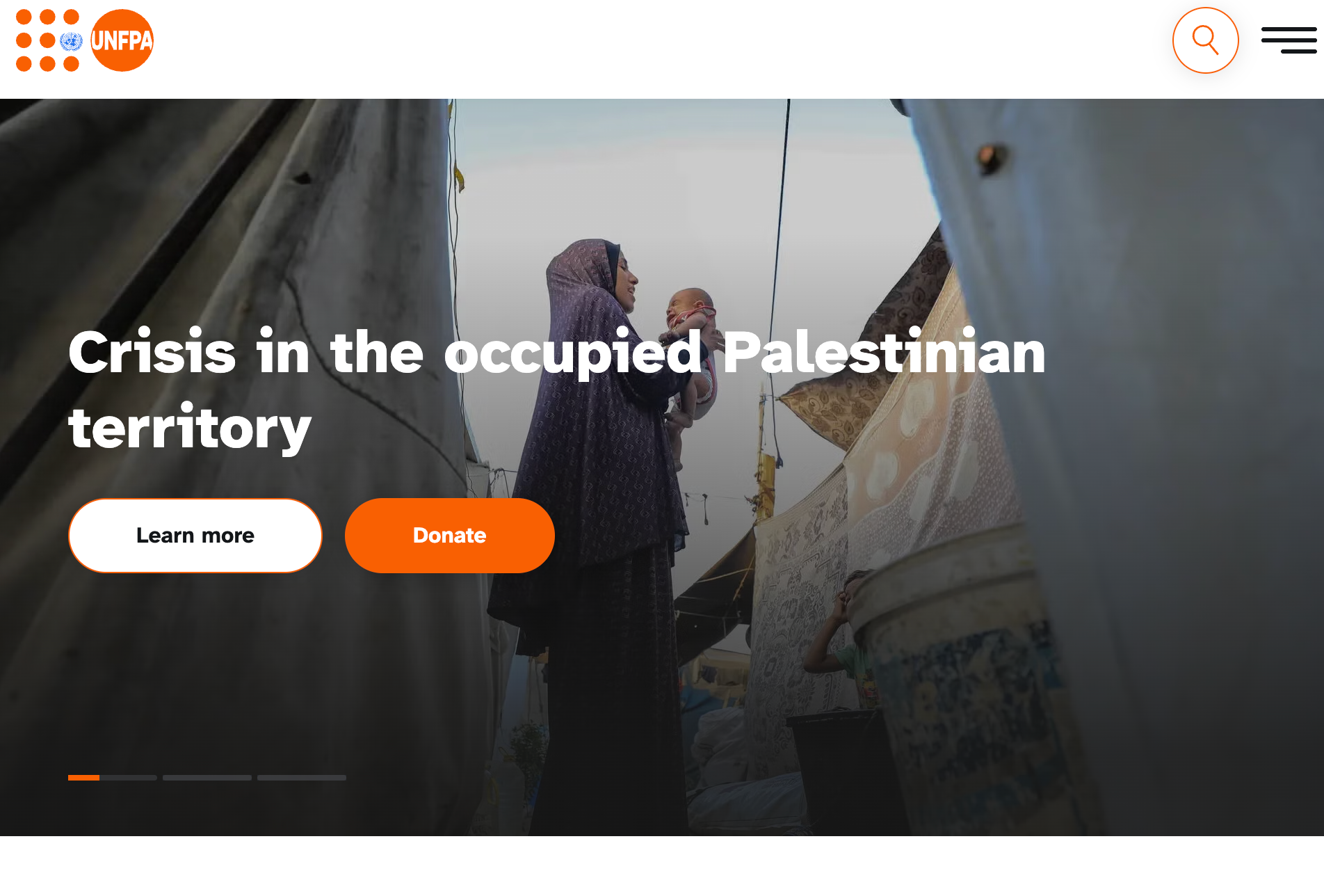 UNFPA 人口与生殖健康项目示意图